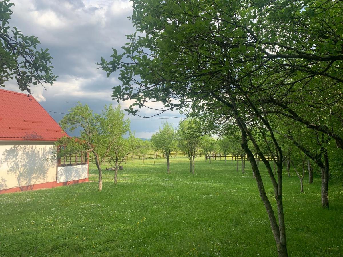 La Prairie Villa Korenica Esterno foto